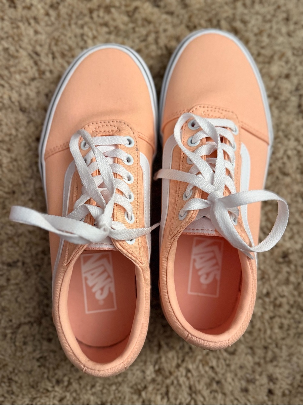 Vans Ward Canvas Tropical Peach Sneakers